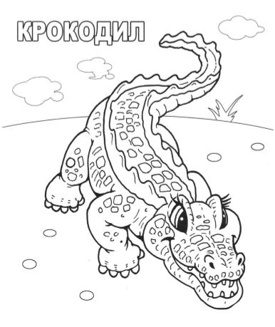 http://www.nosiki.cv.ua/rozukrashki/27.jpg