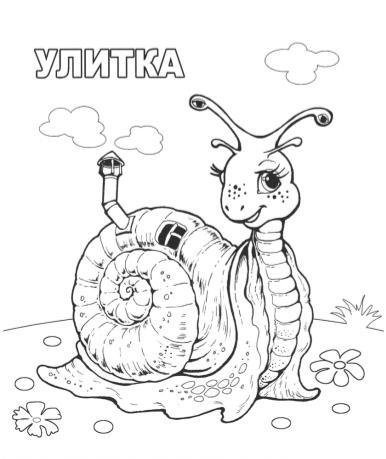 http://www.nosiki.cv.ua/rozukrashki/28.jpg