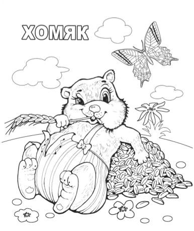 http://www.nosiki.cv.ua/rozukrashki/47.jpg